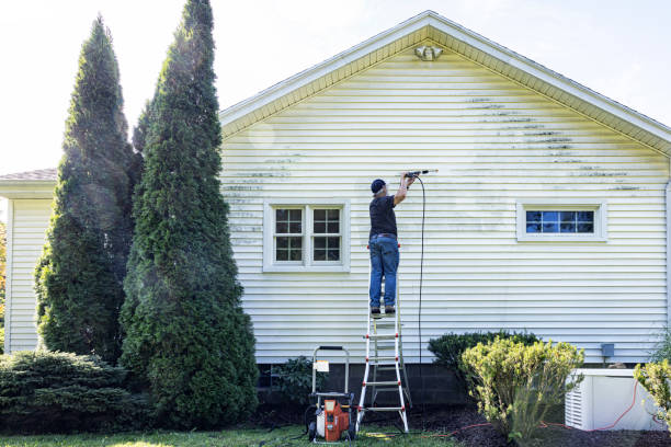 Best Gutter Cleaning  in Gowanda, NY